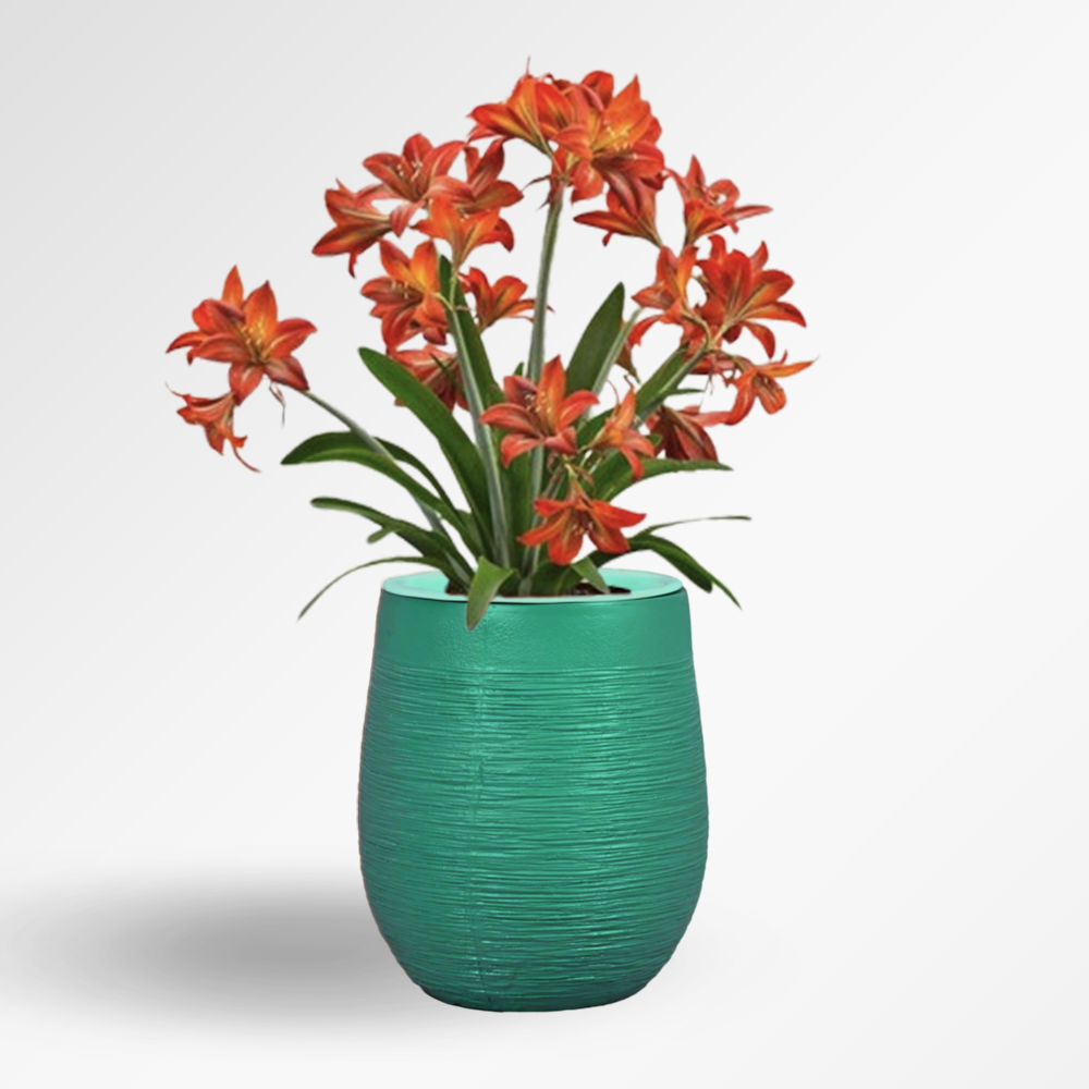 VELSSA Fiber Planter