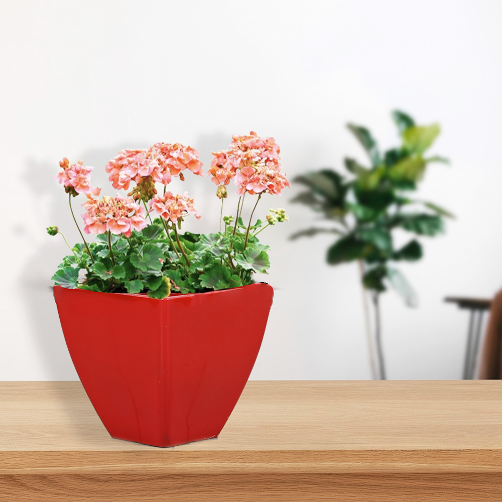 CELLO Fiber Planter