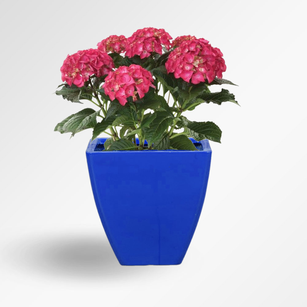 CELLO Fiber Planter